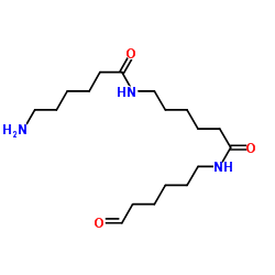 聚酰胺结构式