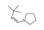 2-Propanamine, 2-methyl-N2-[1-tetrahydro-1H-1-pyrrolylmethylidene] Structure