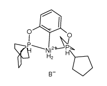 (cyclopentylPOCOP)Ni(η2-BH4)结构式