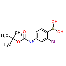 [2-Chloro-4-({[(2-methyl-2-propanyl)oxy]carbonyl}amino)phenyl]boronic acid Structure