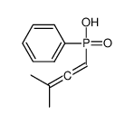 3-methylbuta-1,2-dienyl(phenyl)phosphinic acid Structure