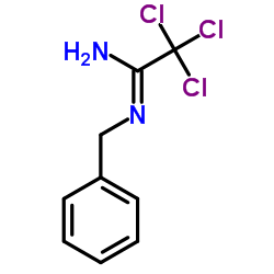 (1Z)-N'-Benzyl-2,2,2-trichloroethanimidamide结构式