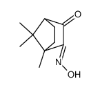 bornane-2,3-dione-2-oxime Structure