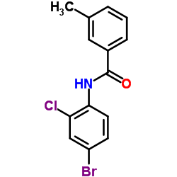 N-(4-Bromo-2-chlorophenyl)-3-methylbenzamide Structure