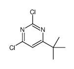 4-叔丁基-2,6-二氯嘧啶结构式