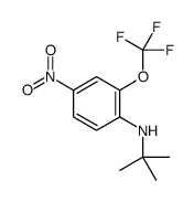N-tert-butyl-4-nitro-2-(trifluoromethoxy)aniline结构式