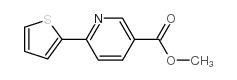 甲基 6-噻吩-2-基烟酸结构式