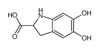 5,6-dihydroxyindoline-2-carboxylic acid Structure