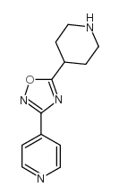 5-(哌啶-4-基)-3-(吡啶-4-基)-1,2,4-恶二唑结构式