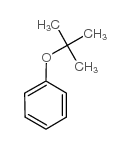 叔丁基苯醚结构式