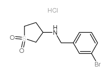 N-[(3-bromophenyl)methyl]-1,1-dioxothiolan-3-amine,hydrochloride Structure