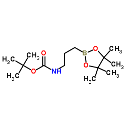 tert-Butyl N-[3-(tetramethyl-1,3,2-dioxaborolan-2-yl)propyl]carbamate Structure