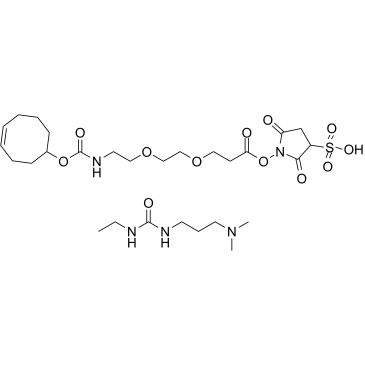 1-(3-(Dimethylamino)propyl)-3-ethylurea 1-((3-(2-(2-(((cyclooct-4-en-1-yloxy)carbonyl)amino)ethoxy)ethoxy)propanoyl)oxy)-2,5-dioxopyrrolidine-3-sulfonate Structure