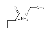 1-氨基环丁甲酸乙酯结构式