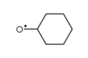 cyclohexyloxy radical Structure
