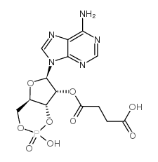 3’:5’-环一磷酸-2’-O-一丁二酰腺苷结构式