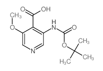 3-叔丁氧羰基氨基-5-甲氧基异烟酸图片