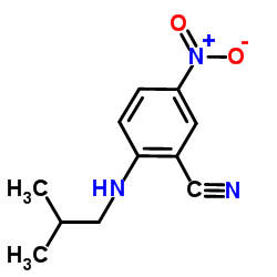 2-(Isobutylamino)-5-nitrobenzonitrile结构式