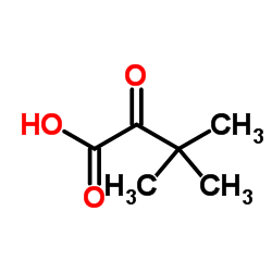 Trimethylpyruvic acid structure