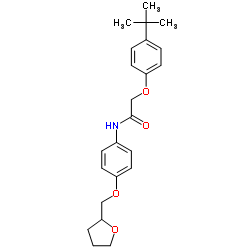 2-[4-(2-Methyl-2-propanyl)phenoxy]-N-[4-(tetrahydro-2-furanylmethoxy)phenyl]acetamide Structure