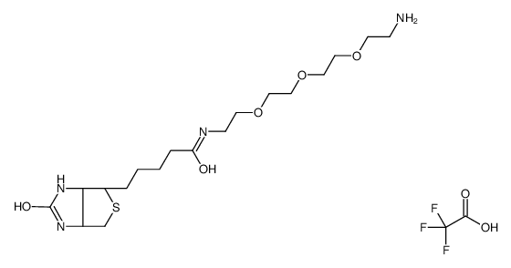 5-[(3aS,4S,6aR)-2-oxo-1,3,3a,4,6,6a-hexahydrothieno[3,4-d]imidazol-4-yl]-N-[2-[2-[2-(2-aminoethoxy)ethoxy]ethoxy]ethyl]pentanamide,2,2,2-trifluoroacetic acid Structure