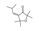 4-((Ξ)-isobutylidene)-2,2,5,5-tetramethyl-dihydro-furan-3-one结构式