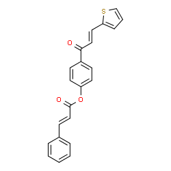 4-[3-(2-THIENYL)ACRYLOYL]PHENYL 3-PHENYLACRYLATE structure