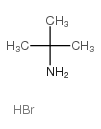 2-Propanamine,2-methyl-, hydrobromide (9CI) Structure