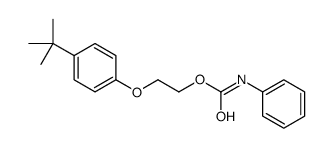 2-(4-tert-butylphenoxy)ethyl N-phenylcarbamate结构式