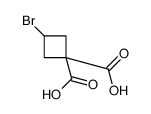 1,1-Cyclobutanedicarboxylic acid, 3-bromo- Structure