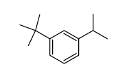1-Isoproyl-3-tert-butylbenzene结构式