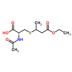 N-Acetyl-S-(4-ethoxy-4-oxo-2-butanyl)-L-cysteine结构式