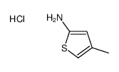 4-Methylthiophen-2-amine hydrochloride Structure