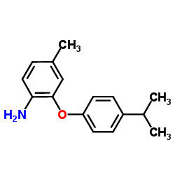 2-(4-Isopropylphenoxy)-4-methylaniline结构式