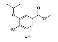 methyl 3,4-dihydroxy-5-propan-2-yloxybenzoate Structure