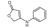 4-anilinofuran-2(5H)-one结构式