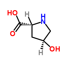 4-chloro-6-methoxy-2-methyl-3-propyl-quinoline Structure