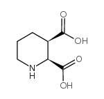 2,3-顺式哌啶二羧酸(cis PDA)结构式