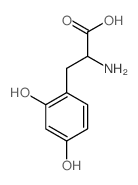 2-氨基-3-(2,4-二羟基苯基)丙酸结构式