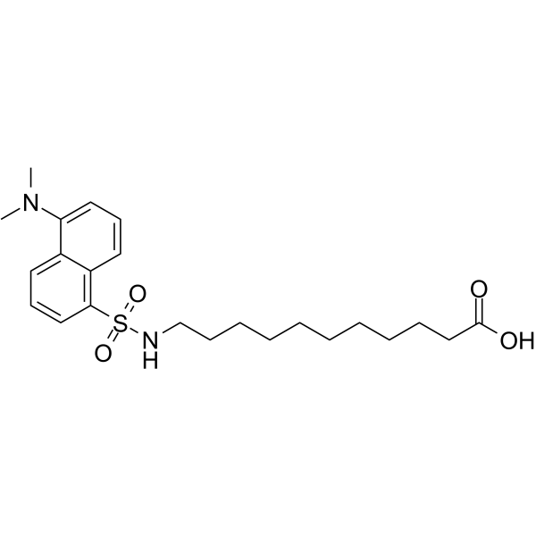 11-((5-二甲基氨基萘-1-磺酰基) 氨基)十一酸结构式