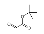 tert-butyl 2-oxoacetate Structure