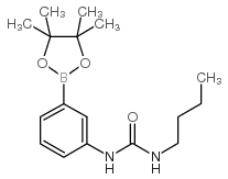 1-丁基-3-(3-(4,4,5,5-四甲基-1,3,2-二氧杂戊硼烷-2-基)苯基)脲图片