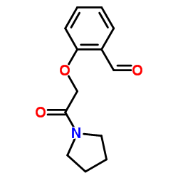 2-(2-氧-2-吡咯烷-1-基乙氧基)苯甲醛结构式