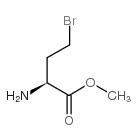 (S)-(+)-2-氨基-4-溴丁酸甲酯结构式