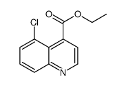 ethyl 5-chloroquinoline-4-carboxylate结构式