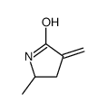 5-methyl-3-methylidenepyrrolidin-2-one Structure