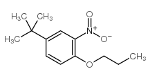 对叔丁基邻硝基苯丙醚结构式