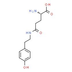 gamma-glutamyl tyramine picture