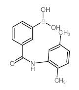 3-硼-N-(2,5-二甲基苯基)苯甲酰胺结构式
