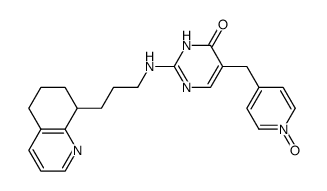 2-[3-(5,6,7,8-tetrahydroquinol-8-yl)propylamino]-5-[pyrid-4-yl-methyl-N-Oxide]-pyrimidine-4-one Structure